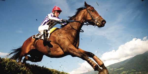 Cheltenham 2012